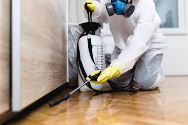 Best Wasp Removal Services  in Pine Nyon, CA