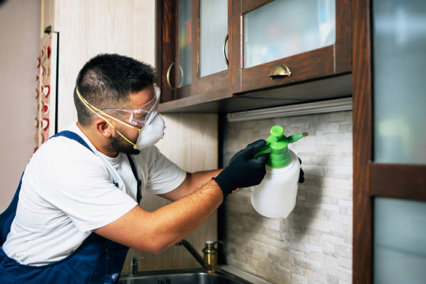 Best Emergency Pest Control  in Pine Nyon, CA
