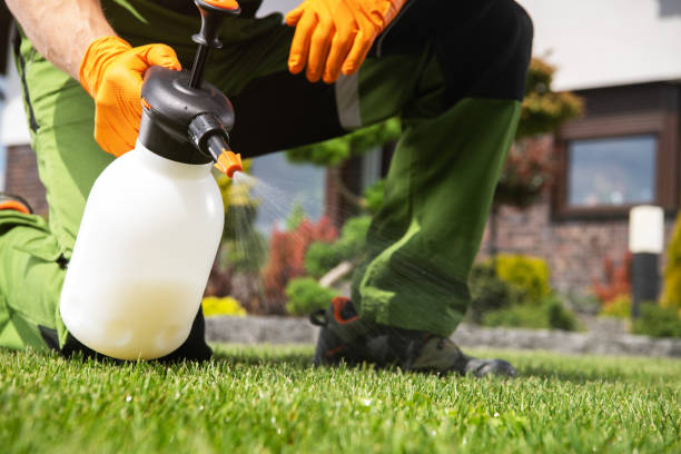 Best Best Pest Control Companies  in Pine Nyon, CA