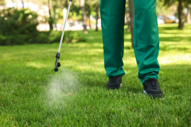 Pest Control for Restaurants in Pine Canyon, CA