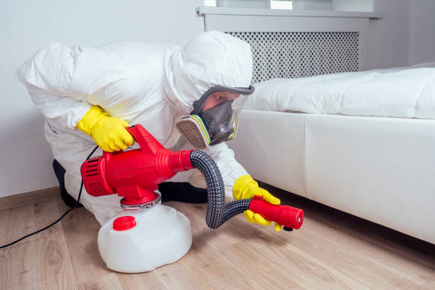 Best Termite Control Services  in Pine Nyon, CA