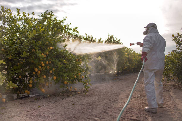 Best Cockroach Control Services  in Pine Nyon, CA